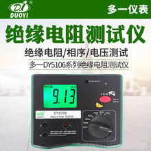 多一数字式绝缘电阻测试仪 数字绝缘电阻表(多量程)  DY5102