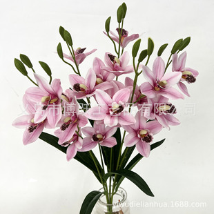 20�^�����ϻ�ޥ�m ���滨�ָ��zƬޥ�m���m�m�����~ޥ�m �ٻ����l