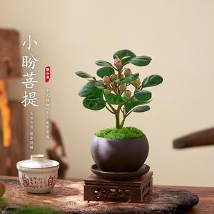 �U��С��������辰���Ժ��B�҃ȕ����k���҃ȾGֲ����ʽ��������