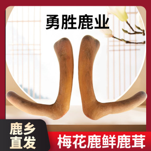 ÷��¹�r¹�����l��֦���r��Ѫ���B����Ƭ¹�������ݾ��r���a¹��