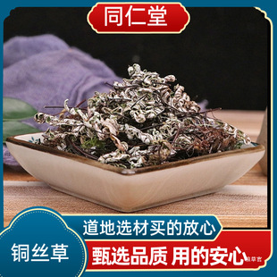 �~�z�� ͨ���� �y�۱�ާ ͨ���� ��؛���Пo�s�|��؛��؛