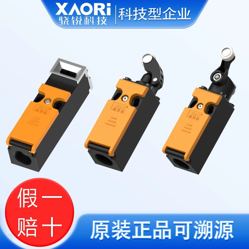 Механический предохранительный выключатель с ключом серии SLC Schleiger TTS2 TTS2D-2O