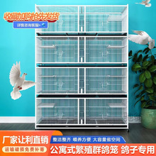 麓f鸽子笼大型养殖笼加密三层信鸽元宝笼带食槽防老鼠家用种鸽配