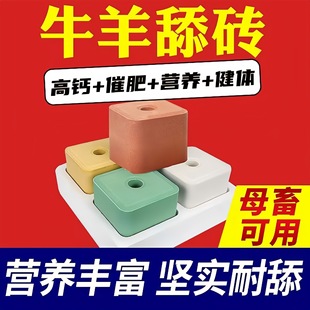 �S�ҹ���  �V���|΢��Ԫ�� �I�B���u ��K ţ���}�uţ����u