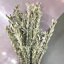 �M�ڻ� ������ �����~ ë���y  ������� ����ƿ�ò�