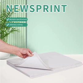 牛皮纸;描图、绘图纸;功能薄膜