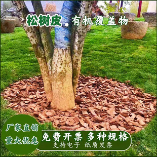 ���[��ĥ�ɘ�Ƥ�ЙC���w��@�ֻ��@��ľм�ɘ�Ƥ���@ˇ�b[��