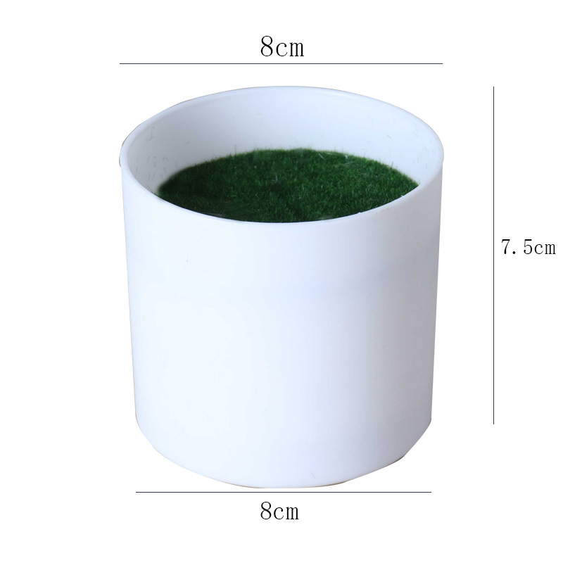 Maceta de Plástico para Cultivo Fuerte y Durable para Decoración del Hogar