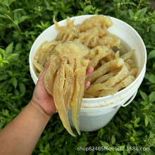 汕头叁条鱼海蜇进口野生海蜇头海蜇八爪辣椒头濠江区畅销款3-31斤