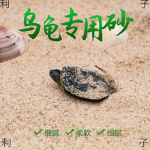 孵化乌龟草龟天然底砂产蛋鱼缸装饰造景砂子冬眠下蛋养殖沙河沙