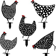 亚克力园林黑鸡草坪装饰仿真园艺鸡Chicken Yard Art花园插牌