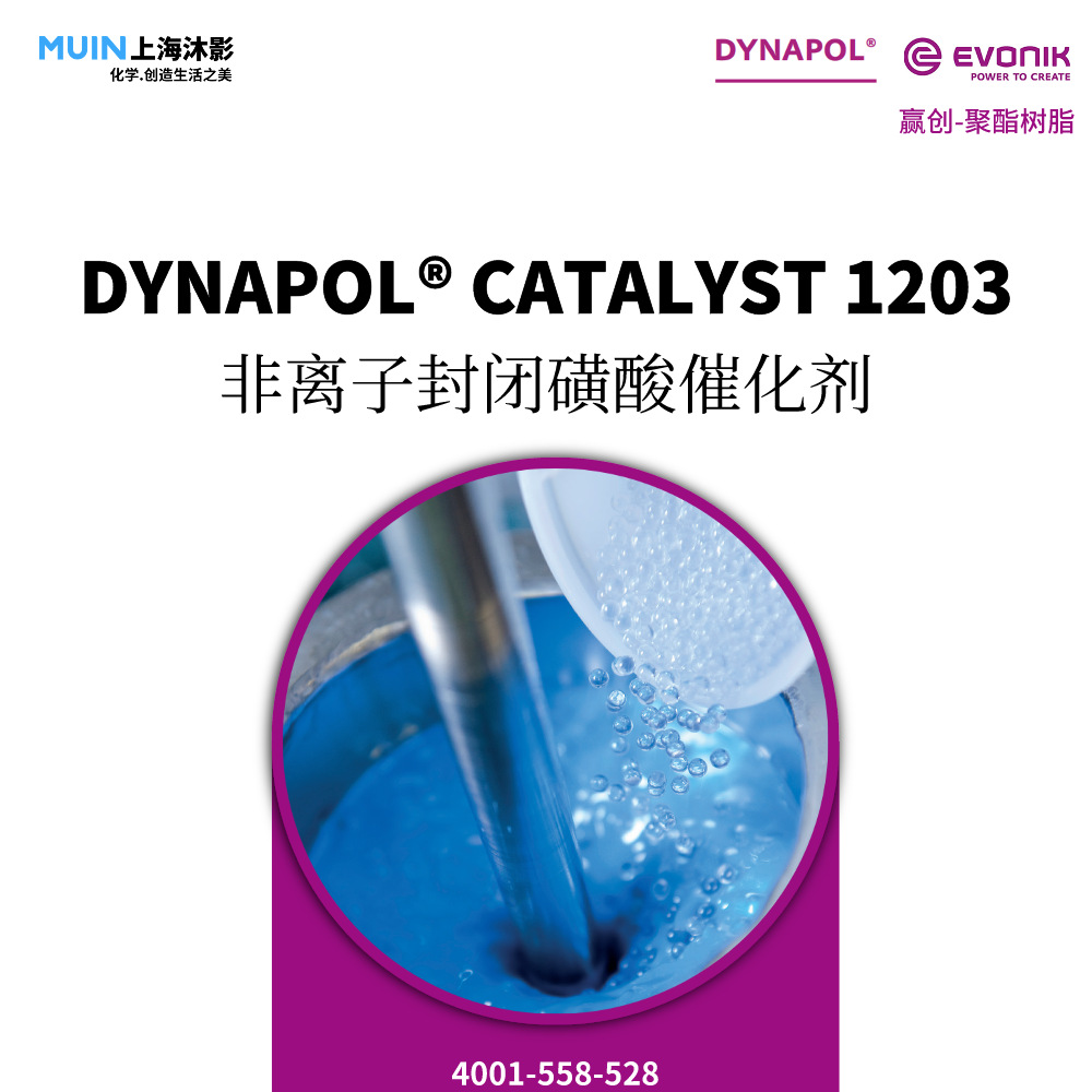 DYNAPOL CATALYST 1203 树脂催化剂 |赢创 非离子封闭磺酸催化剂