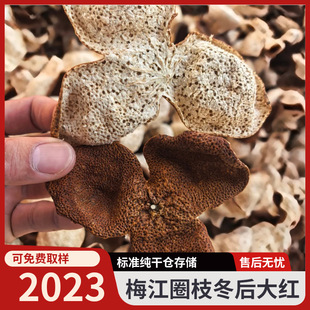 2023�����Ƥ��÷��Ȧ֦�����tƤ��Ȼ�ɂ}����һ�����l
