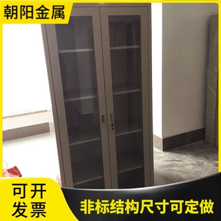办公室玻璃文件柜财务资料档案柜带锁凭证收纳储物柜子铁皮保密柜
