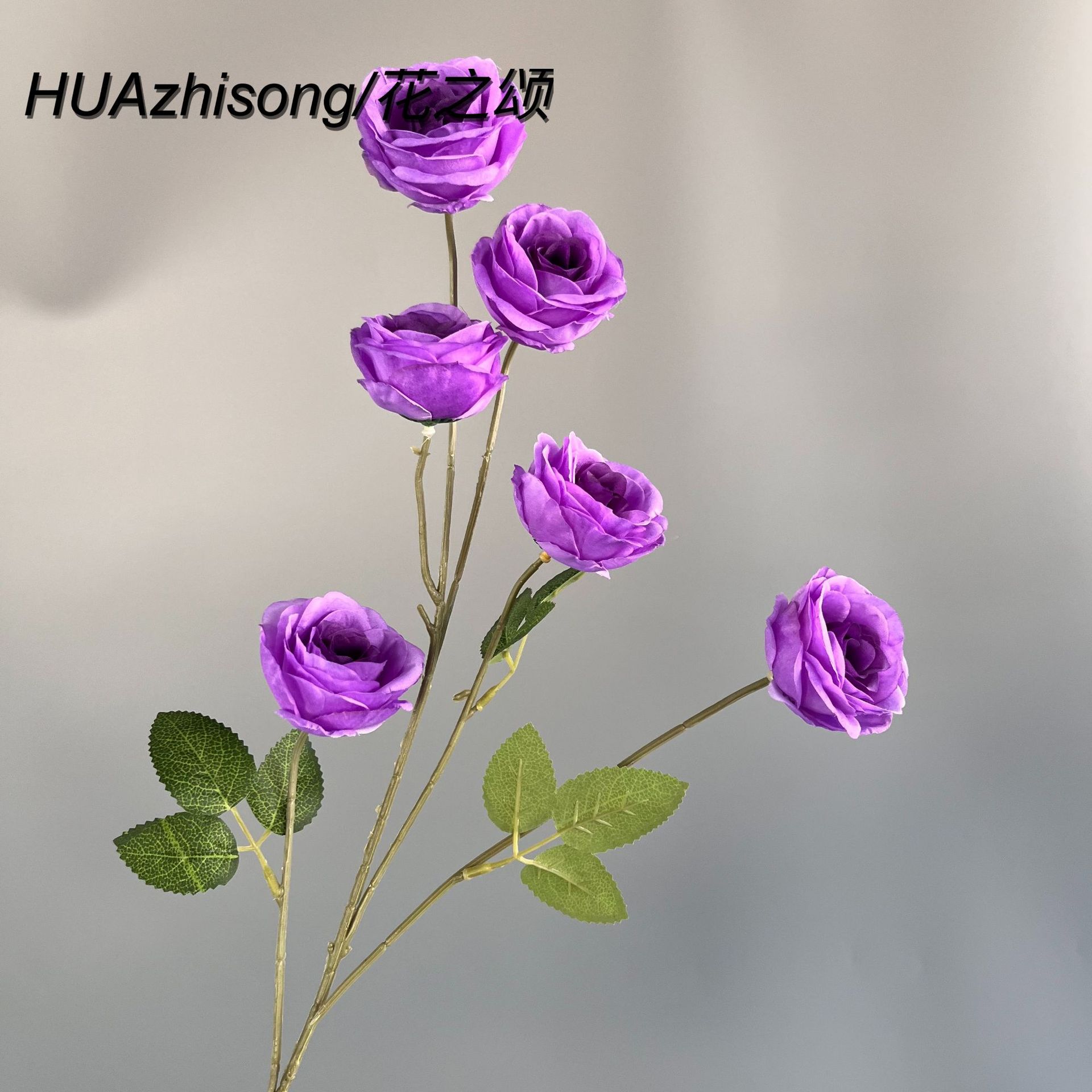 보라