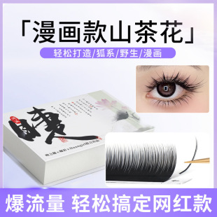 No Scattering Roots, Camellia Eyelash Grafting, Special Comic Style for Eyelash Salons, Baby Curve, Super Soft Hair, Natural Cd Curling