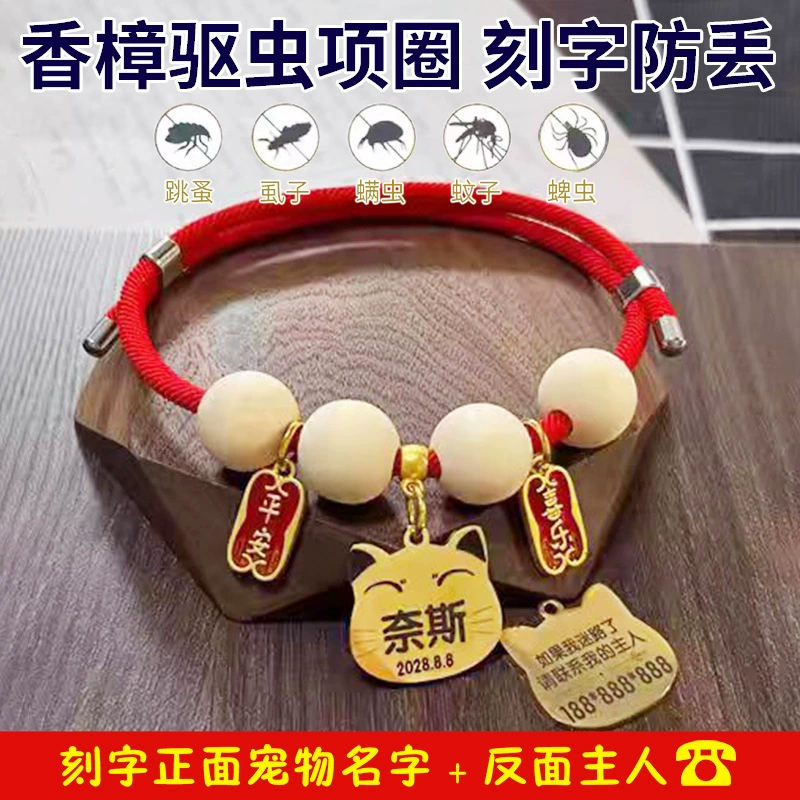 Домашняя кошка указана в списке собак