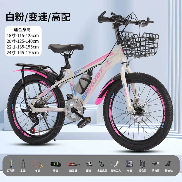 Fuchsia bike shifter (brake handle) disc brake, basket