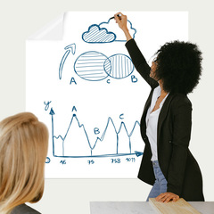 Static-Electricity-Free Glueless Whiteboard Wall Stickers—Damage-Free for Walls, Perfect for Home, School, and Office Use; Removable & Erasable Graffiti Board