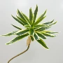 高品质手感家居仿真绿植