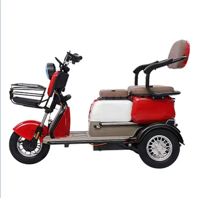 Auto Parts and Accessories – Other Tricycle for Elderly