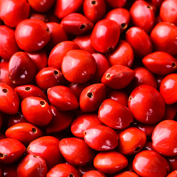 Organic beads handmade