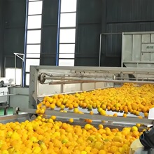 �S��ֱ�����Ѿƹ��ƹ��b�C�O��ؓ��ȫ�Ԅ��ŷ��������b���a��