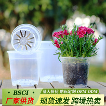 ͸���ظ���ɽ���������������m�����mӲ�|�Ӻ��֬������������