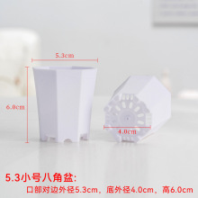 加厚小白方小黑方多肉方形八角花盆塑料特厚带托架叶插育苗盆套餐