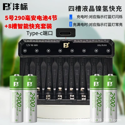 Fengbiao Rechargeable Aa: Hibrid akkumulyator batareyaları - no-5-4-sections-8-slots-smart-fast-charging-n8
