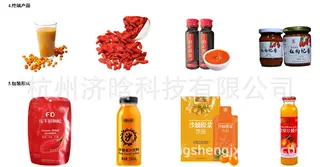 荔枝汁机,荔枝汁饮料加工设备,荔枝酱生产设备,浓缩荔枝汁生产线