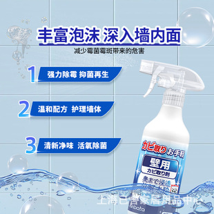 Mildew Removal Spray for Walls, Refrigerator, Mildew Removal, Black Spots, Household Bathroom Clothing Gel Remover