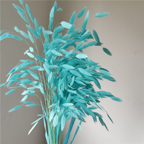 Preserved flower small grass dried flower bouquet ins Nordic diamond grass air-dried real flower decorative ornaments small fat grass