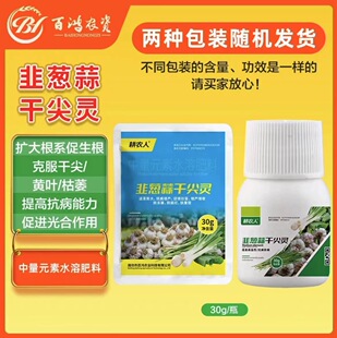 ���r�˾��[��ɼ��`�S�~���c�ɼ⠀��������΢��Ԫ�ؾ²˴��[����