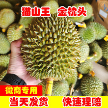 ̩����������ɏ؈ɽ����ɏ���rˮ��������������ɏ�r������2���b