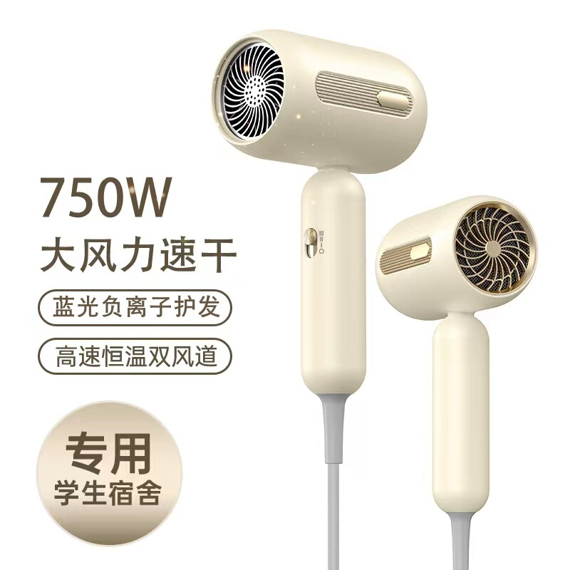 国境を越えたヘアドライヤー家庭用寮冷熱風マイナスイオンネット赤大出力ギャラリー電気ブローメーカー卸売り|undefined