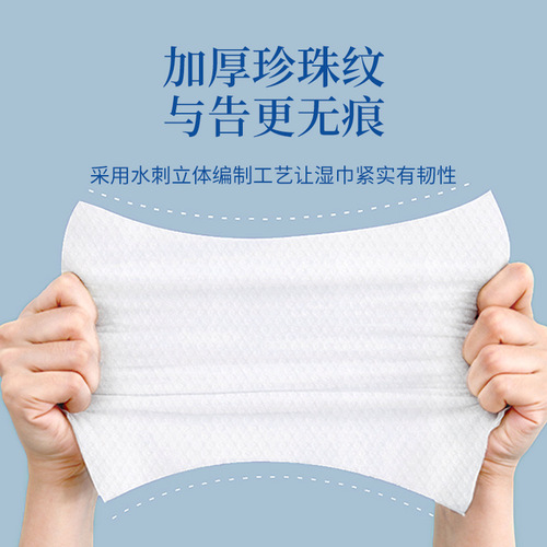 Summer Sweat Absorbing Essential Ice-Cool Mint Wet Wipes 10 Pack 4 Boxes Convenient Cooling and Refreshing Ice Wet Wipes Wholesale J5078