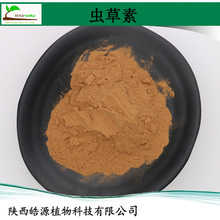 虫草素1% 蛹虫草提取物现货冬虫夏草提取物虫草子实体萃取不老草