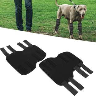 New cross-border Amazon knee pads dog leg pads pet protectors dog surgery injury protection manufacturers