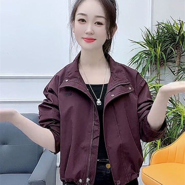 2025年新款宽松冲锋衣夹克短款立领上衣小个子休闲春季百搭外套女|undefined