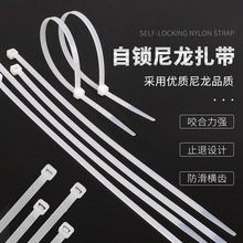 批发扎带直销自锁式环保扎带塑料绑束线带规格尼龙理线电线