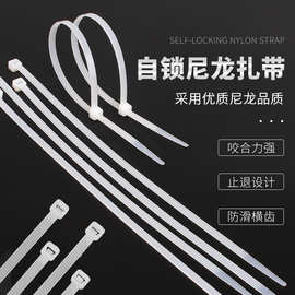 批发扎带直销自锁式环保扎带塑料绑束线带规格尼龙理线电线