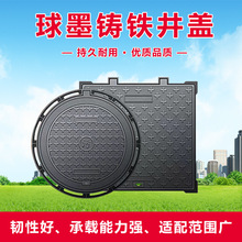 �����ī�T�F���w��ī�T�F���w��ī�T�F���ξ��w���������ξ��w