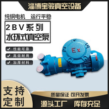 2BV防爆系列水环真空泵水环真空泵机械密封无泄漏铸铁不锈钢材质
