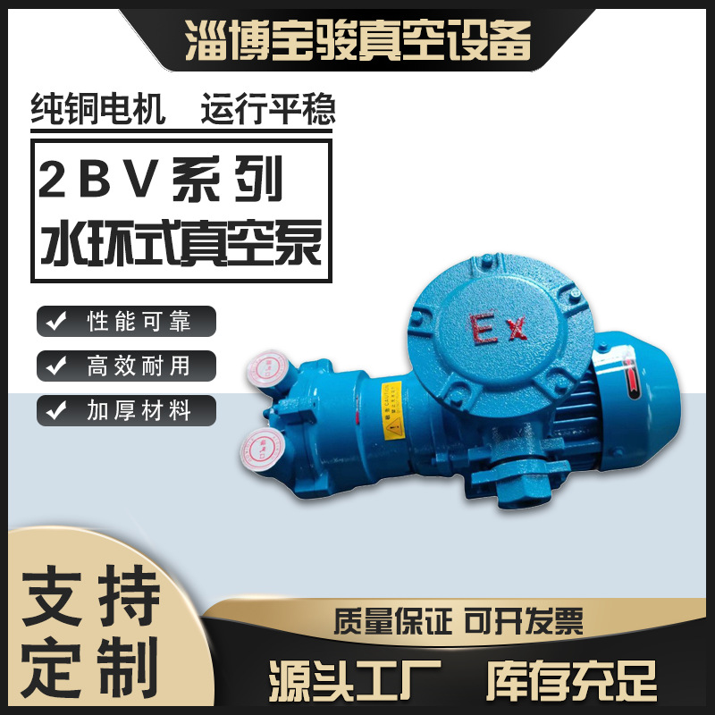 2BV防爆系列水环真空泵水环真空泵机械密封无泄漏铸铁不锈钢材质
