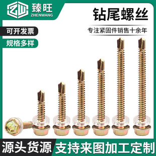 304���P��������β�z�����������β�ݽz�Թ�����β�ݽz