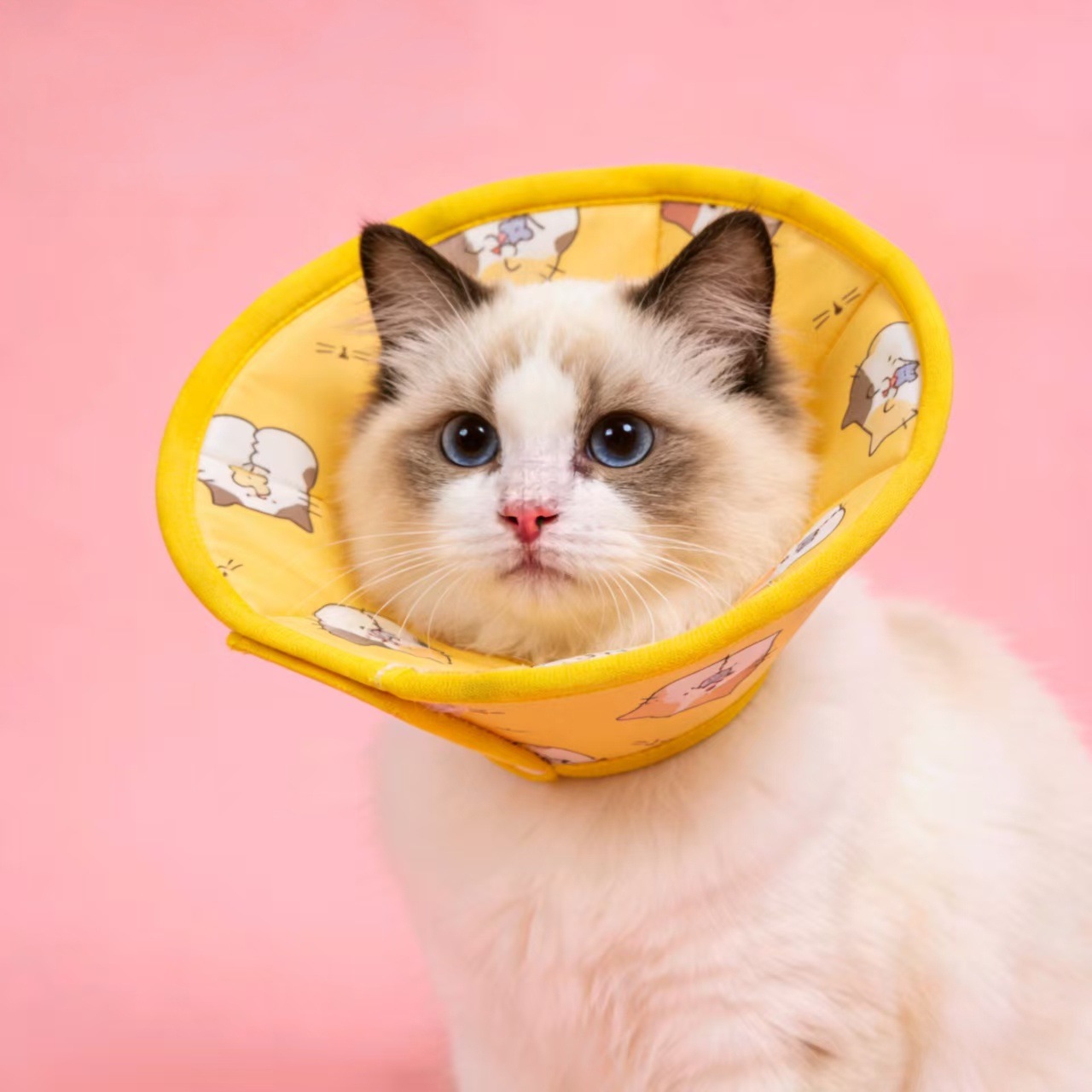 Cat Elizabeth Collar for Deworming, Sterilization, and Anti-Licking, Adjustable Waterproof Collar for Small Dogs