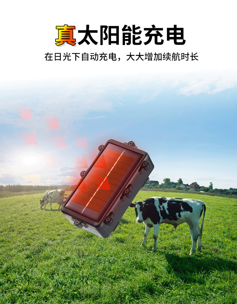 Solar-Powered 4g Beidou Gps Tracker for Cattle and Sheep, a Tracking Device for Mountainous Areas and Grasslands, with Track Playback
