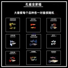 ��ȸ�~ȫ�Ҹ��������x�ײͺ��B�ͻ��׷�ֳ���TС�͟Ꭷ�^�p�~