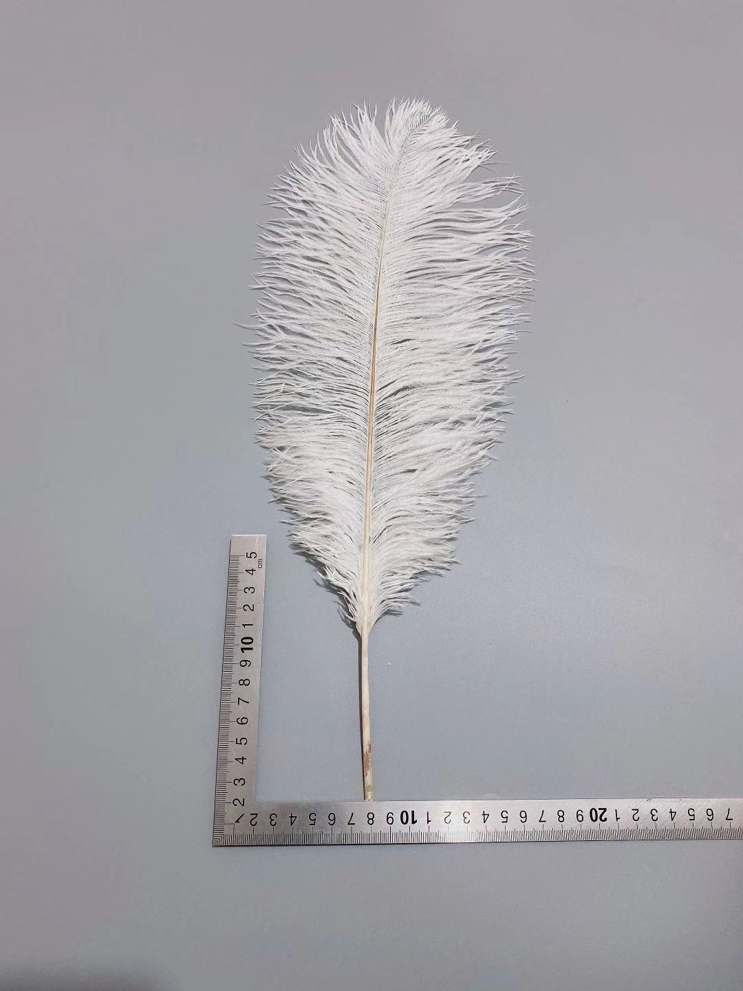 14e6de5fcd5293e822dd83c971e5b5